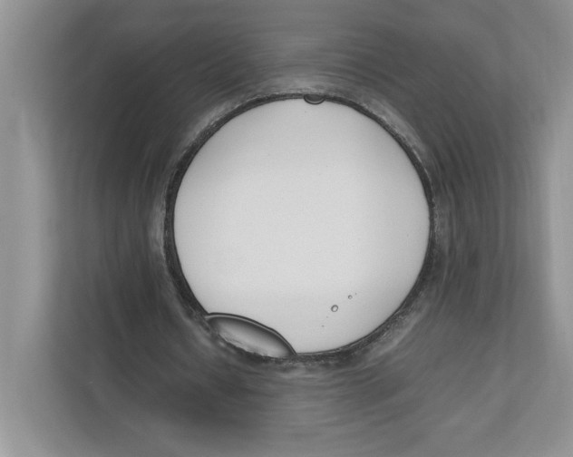 X0000111850434200908201240