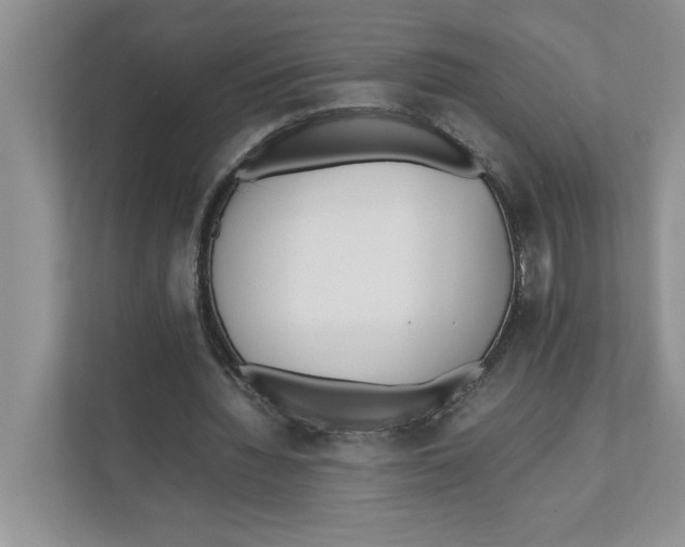 X0000111850436200908201240