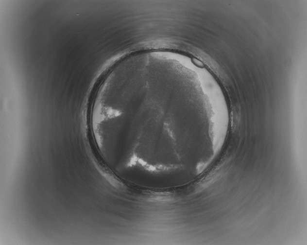 X0000111850438200908201240