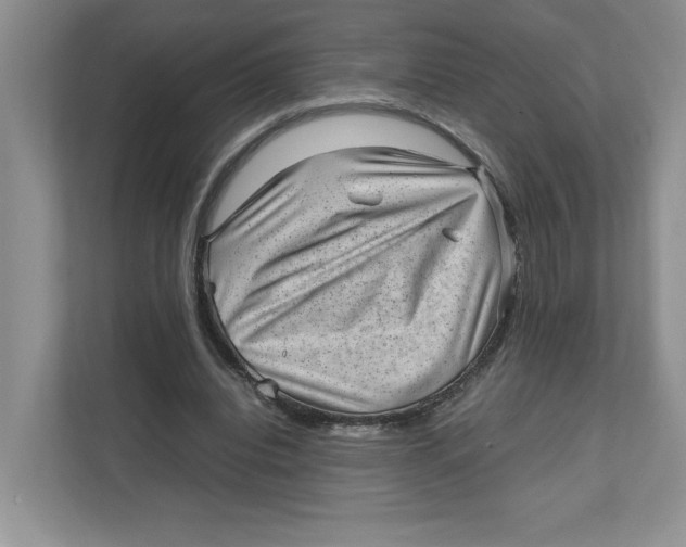 X0000111850440200908201240