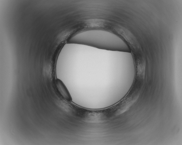 X0000111850444200908201240