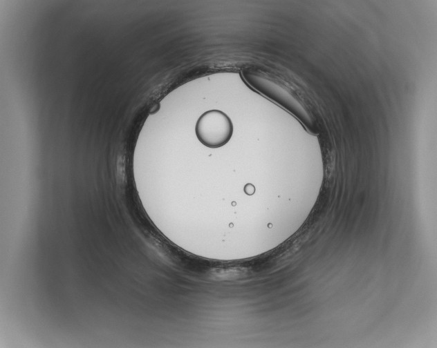 X0000111850452200908201240