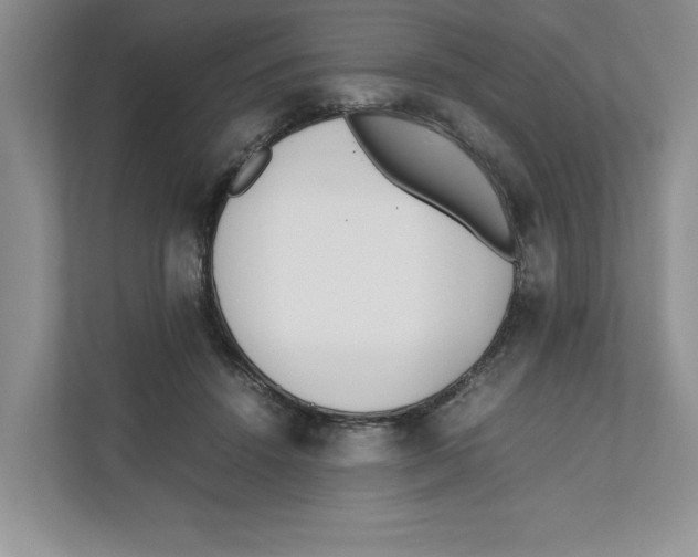 X0000111850456200908201240