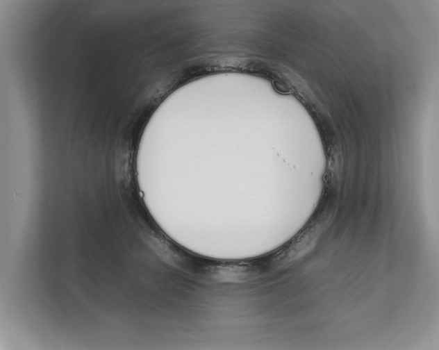 X0000111850462200908201240