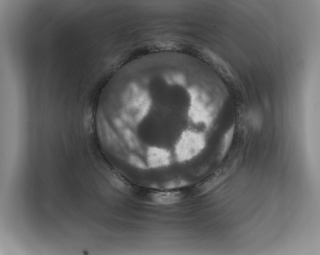 X0000111850465200908201241