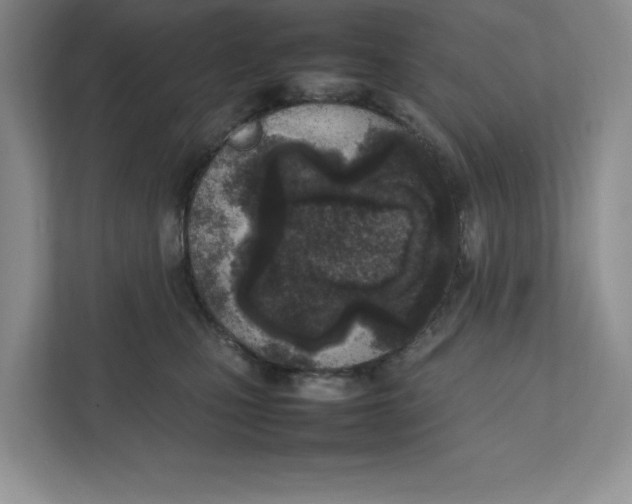 X0000111850471200908201241