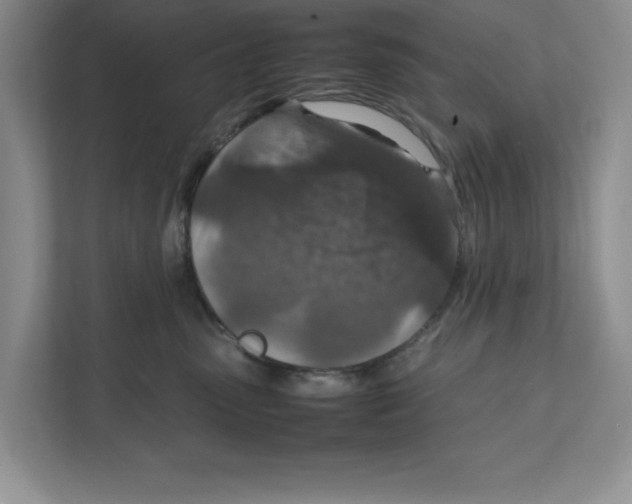 X0000111850475200908201241