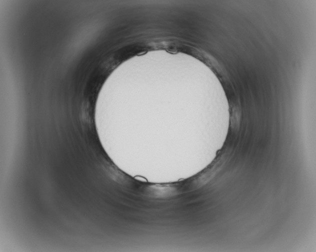 X0000111850477200908201241