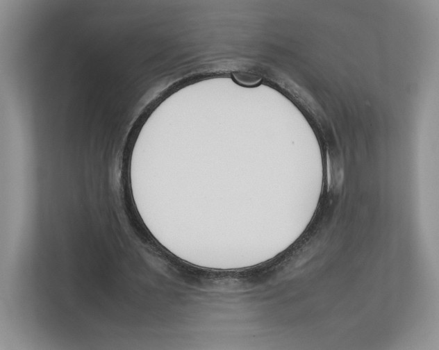 X0000111850483200908201240