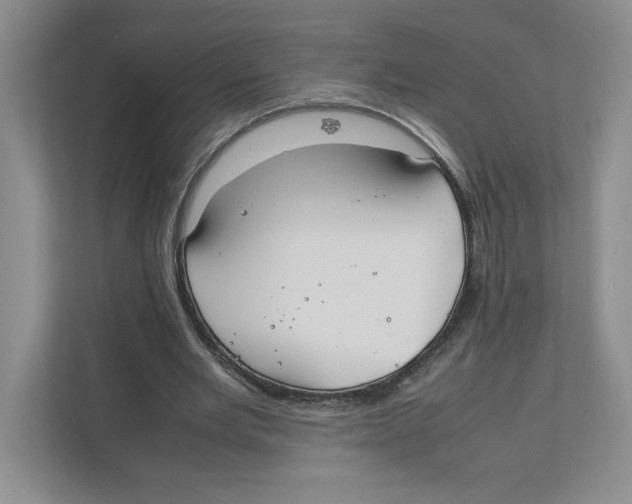 X0000111850485200908201240