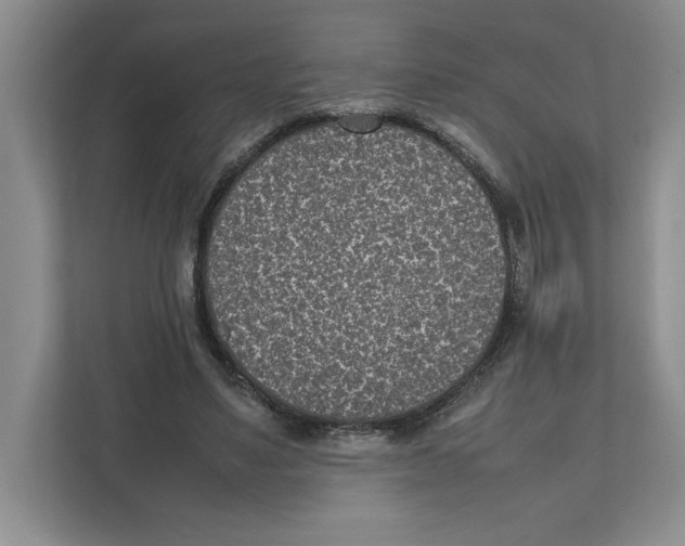 X0000111850491200908201240
