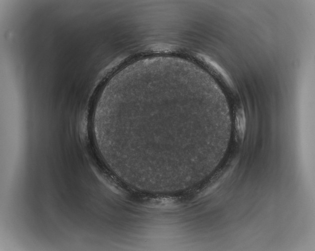 X0000111850492200908201240