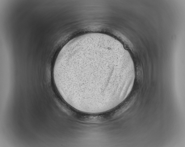 X0000111850493200908201240