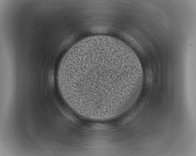X0000111850494200908201240