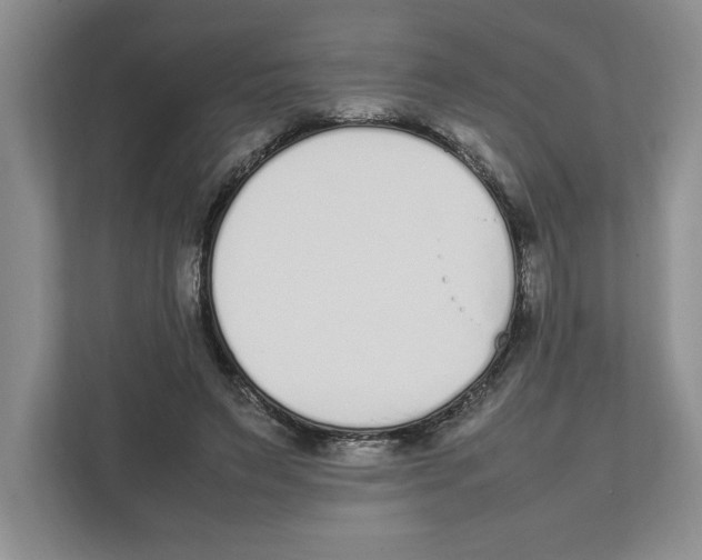 X0000111850495200908201240