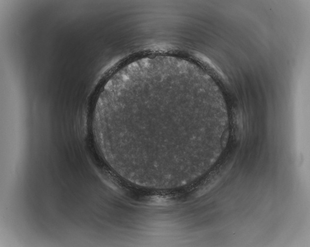 X0000111850496200908201240
