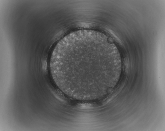 X0000111850500200908201240
