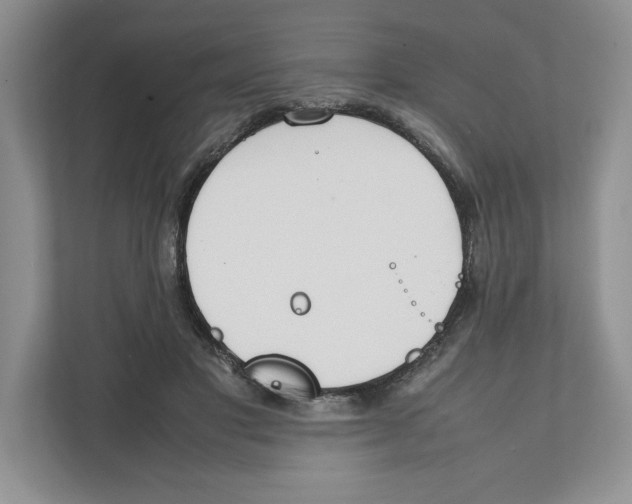 X0000111850501200908201240