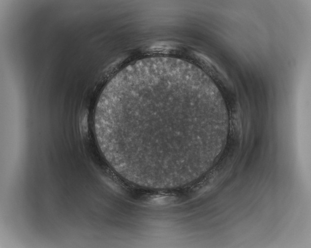 X0000111850504200908201240
