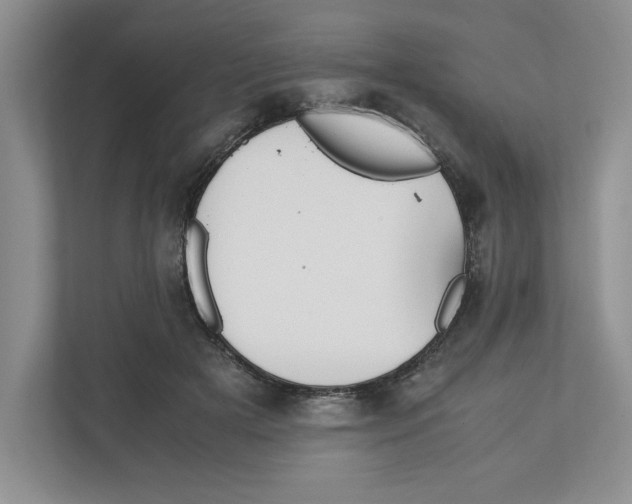 X0000111850505200908201240