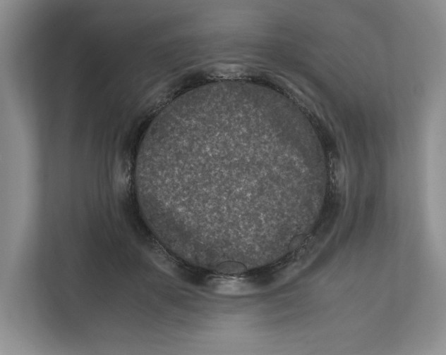 X0000111850507200908201240
