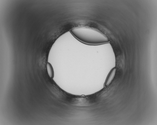 X0000111850509200908201240