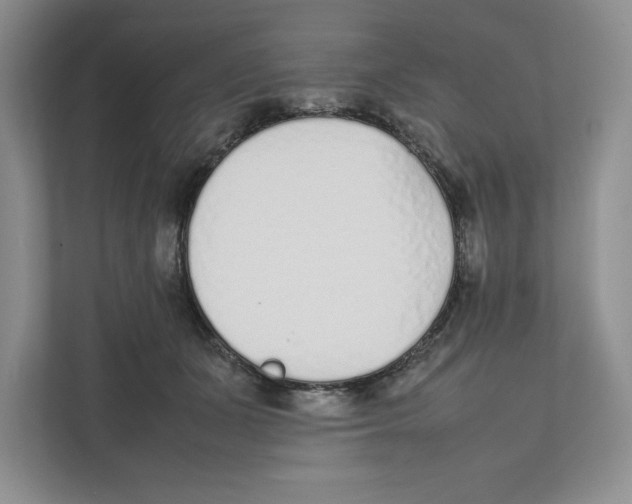 X0000111850511200908201240