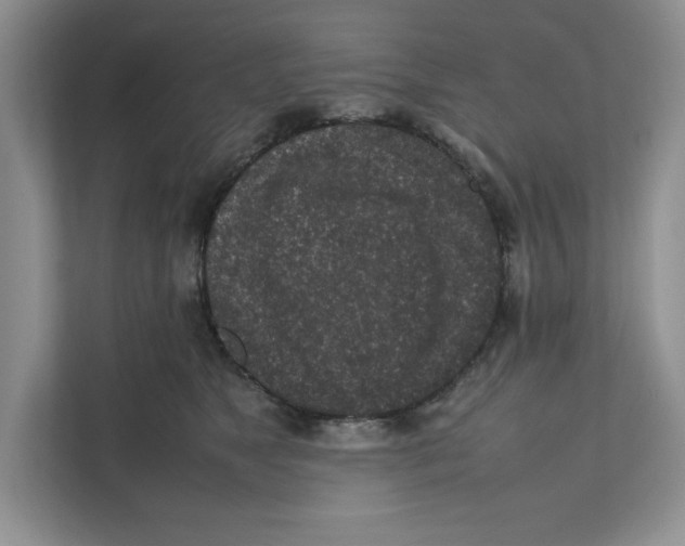 X0000111850517200908201240