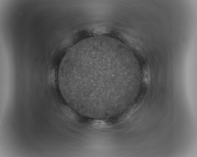 X0000111850519200908201240