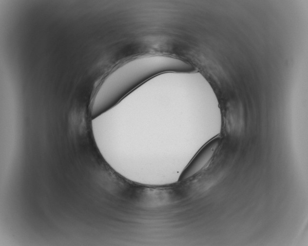 X0000111850520200908201240