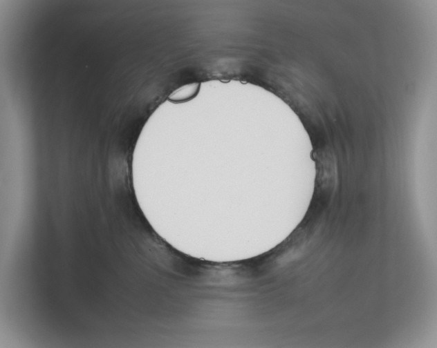 X0000111850523200908201240