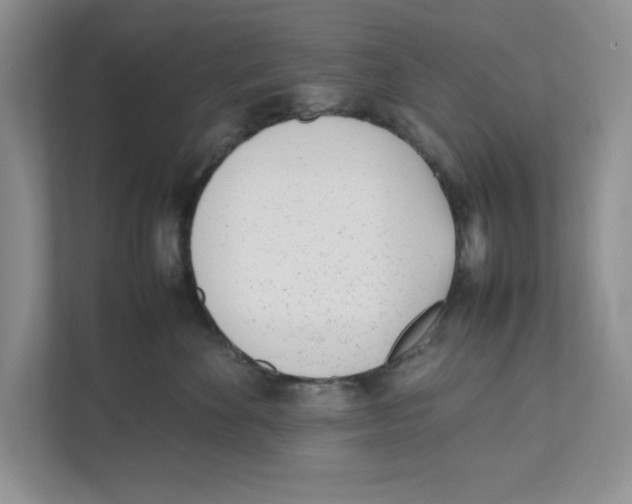 X0000111850524200908201240