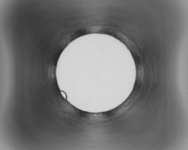 X0000111850525200908201239