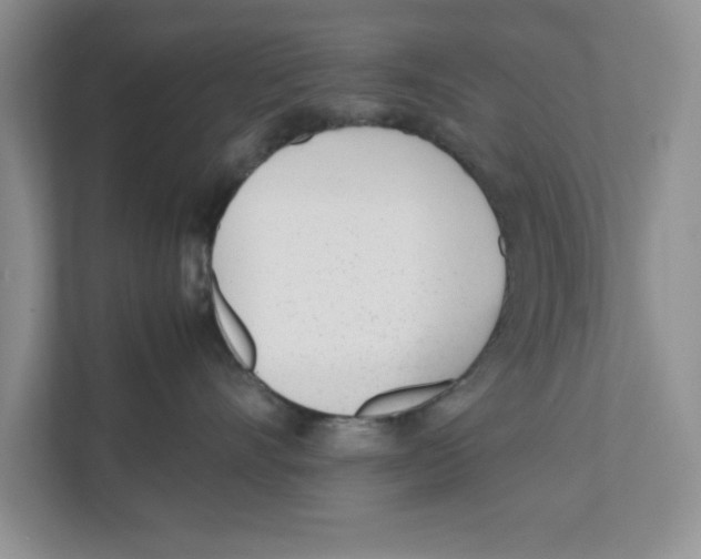 X0000111850528200908201239
