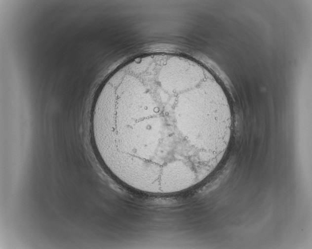 X0000111850529200908201239