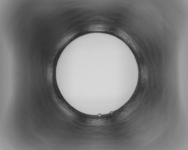 X0000111850533200908201239