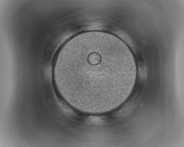 X0000111850534200908201239