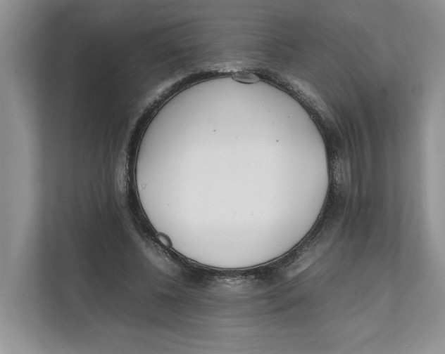 X0000111850540200908201239