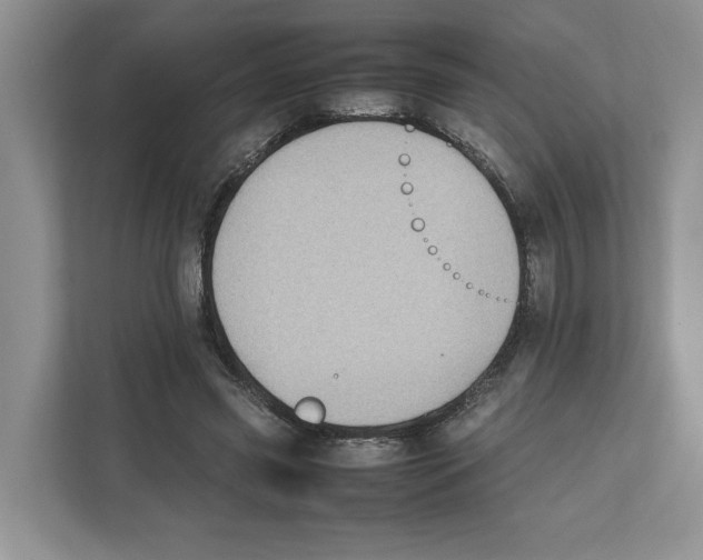 X0000111850541200908201239
