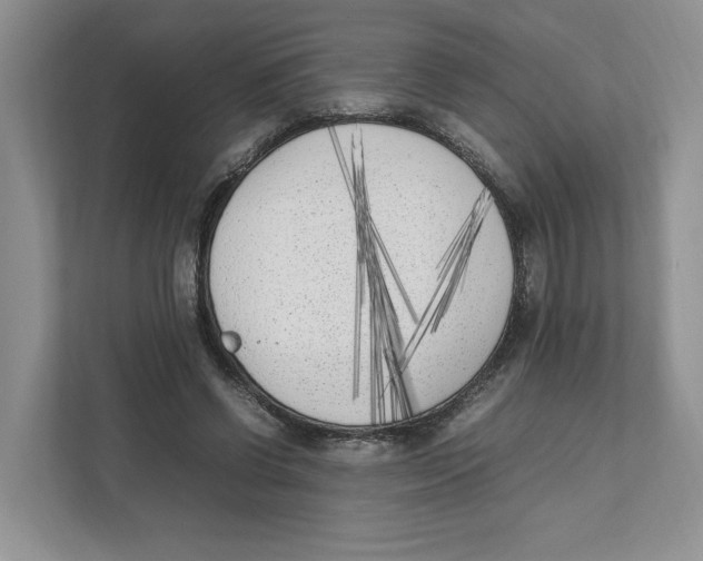 X0000111850542200908201239