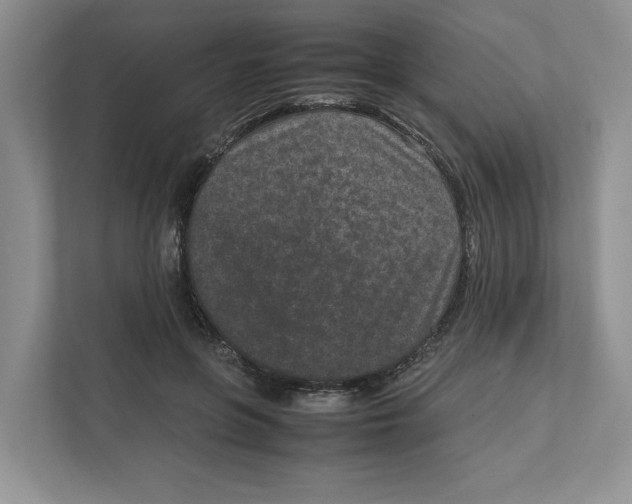 X0000111850551200908201239