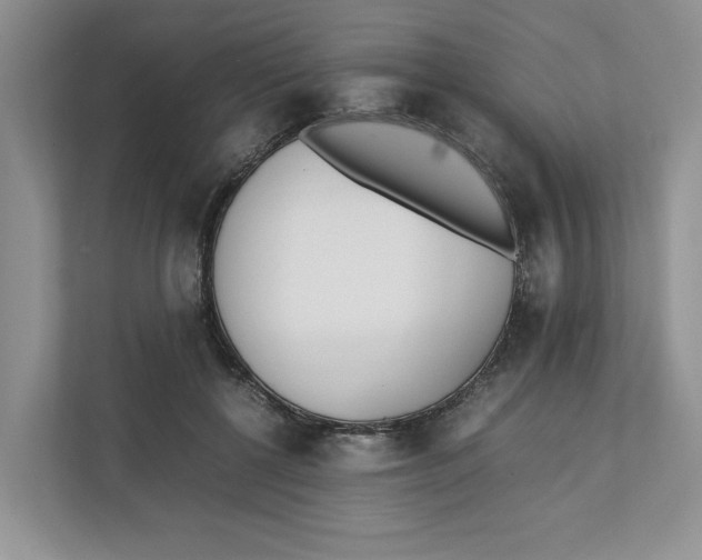 X0000111850552200908201239