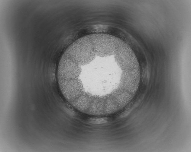 X0000111850553200908201239