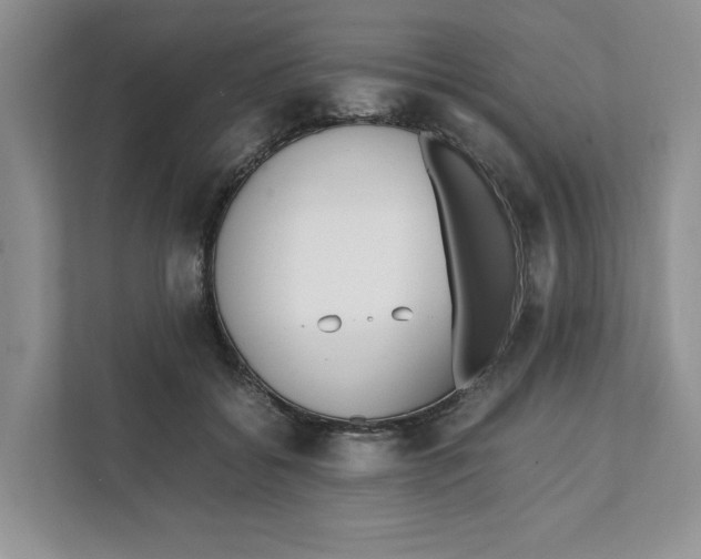 X0000111850556200908201239