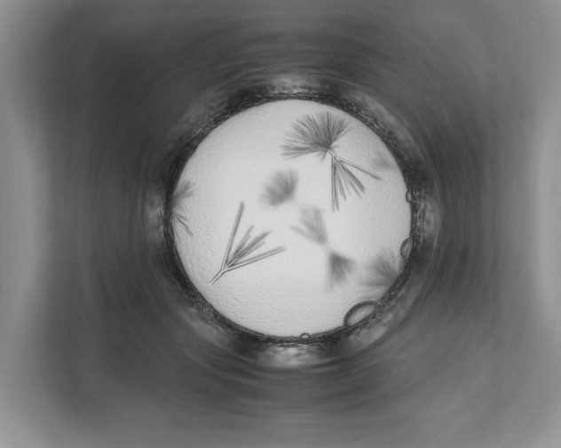 X0000111850557200908201239