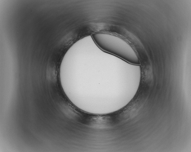 X0000111850558200908201239