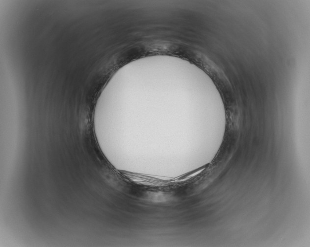 X0000111850561200908201239