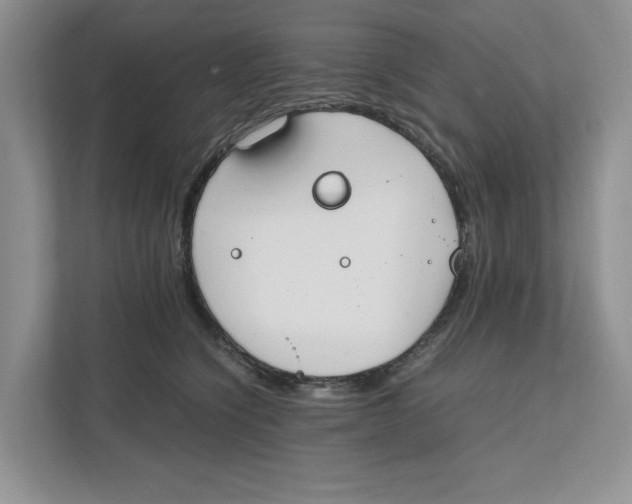 X0000111850564200908201239