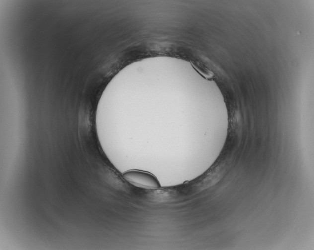 X0000111850566200908201239