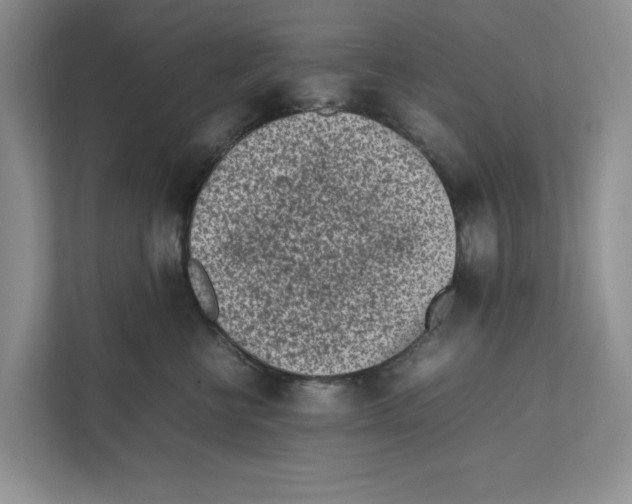 X0000111850570200908201239